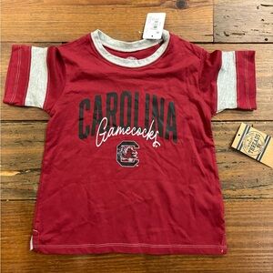 Rivalry Threads Crimson & Gray Carolina Gamecocks Tee